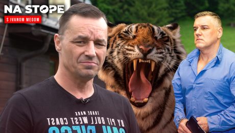 Na Stope Surový Shark