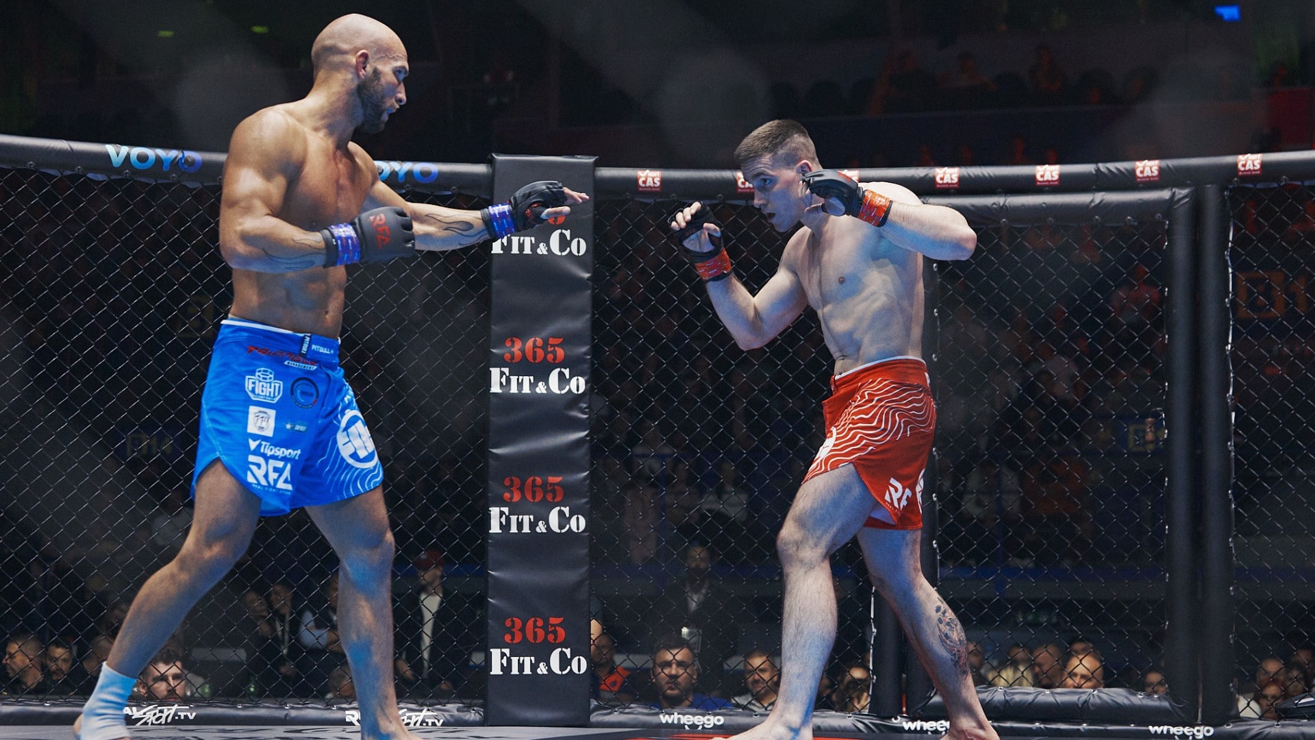 Untitled design – 2023-08-18T145439.379