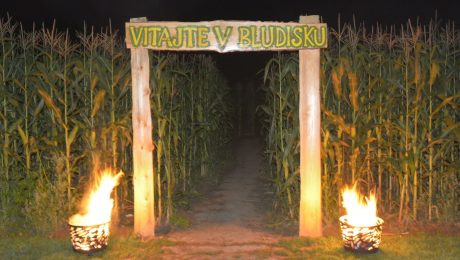 Kukuričné bludisko pri