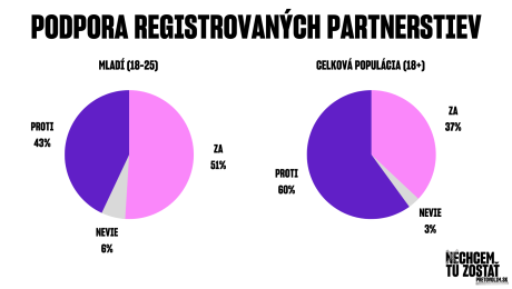 prieskum o mladých Slovákoch, grafy