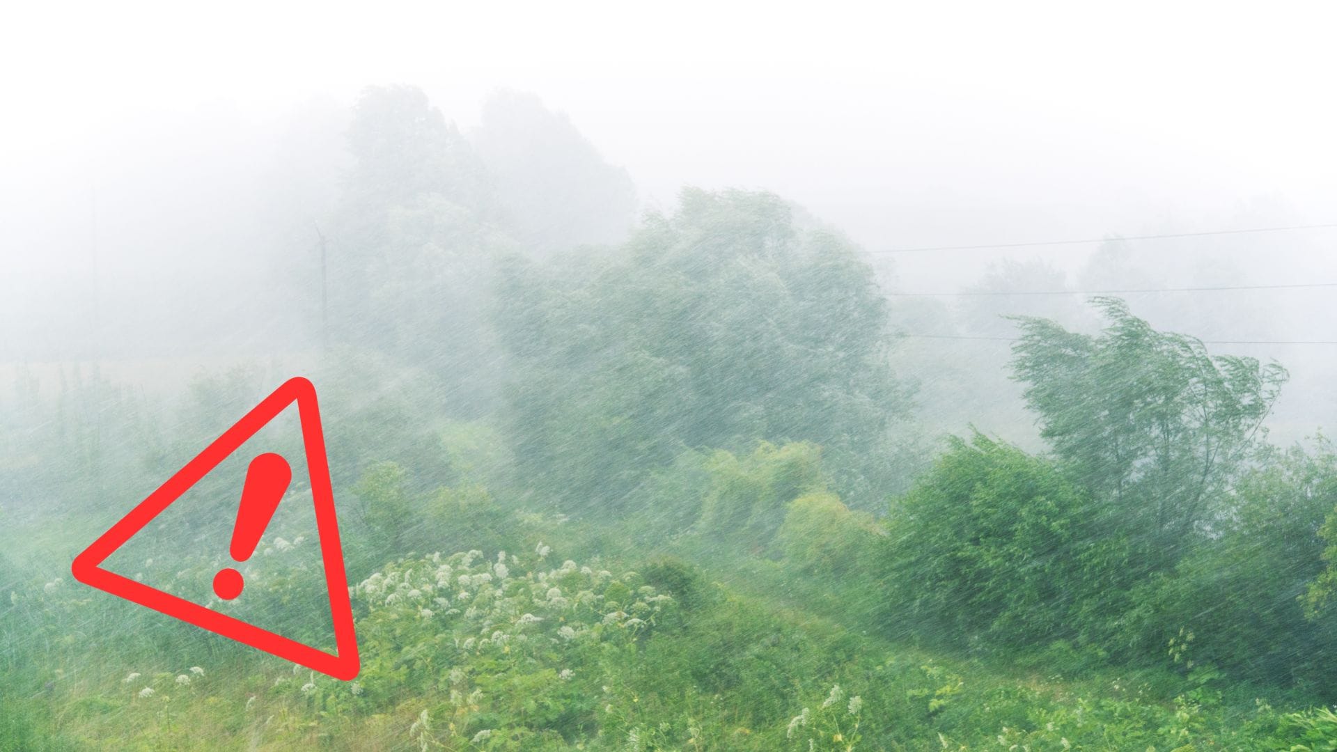 Silný vietor a dážď v prírode