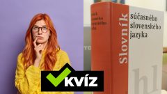 Žena s okuliarmi pozerá donors a slovník slovenského jazyka