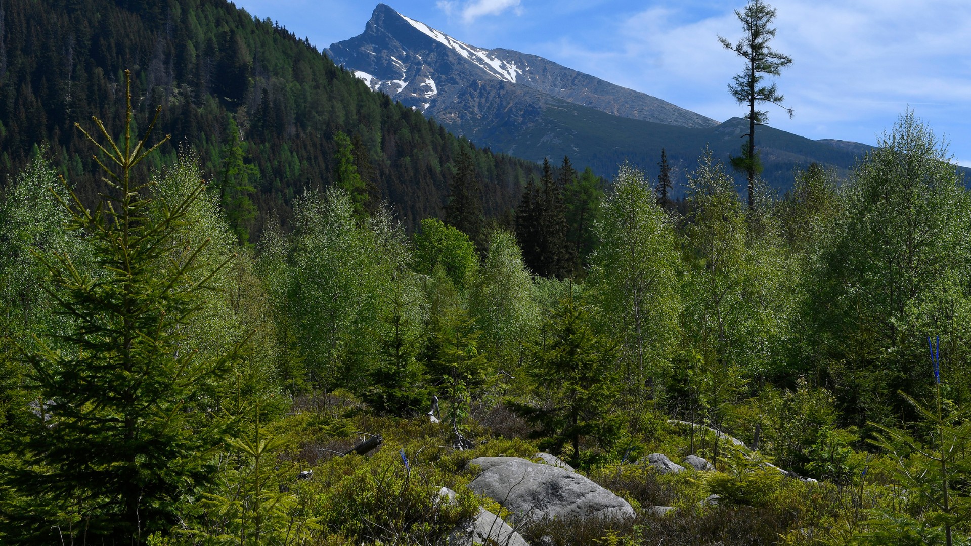 Na snímke pohľad na tatranský štít Kriváň od nového nástupného miesta pre vodákov v Podbanskom.