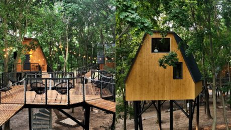 Z hotela priamo do korún stromov: Unikátne „Tokajské domčeky“ lákajú ľudí na wellness