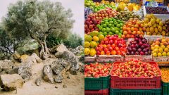 Ovocie vpravo, olivový strom vľavo