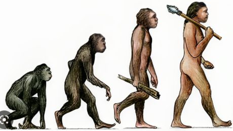 evolúcia