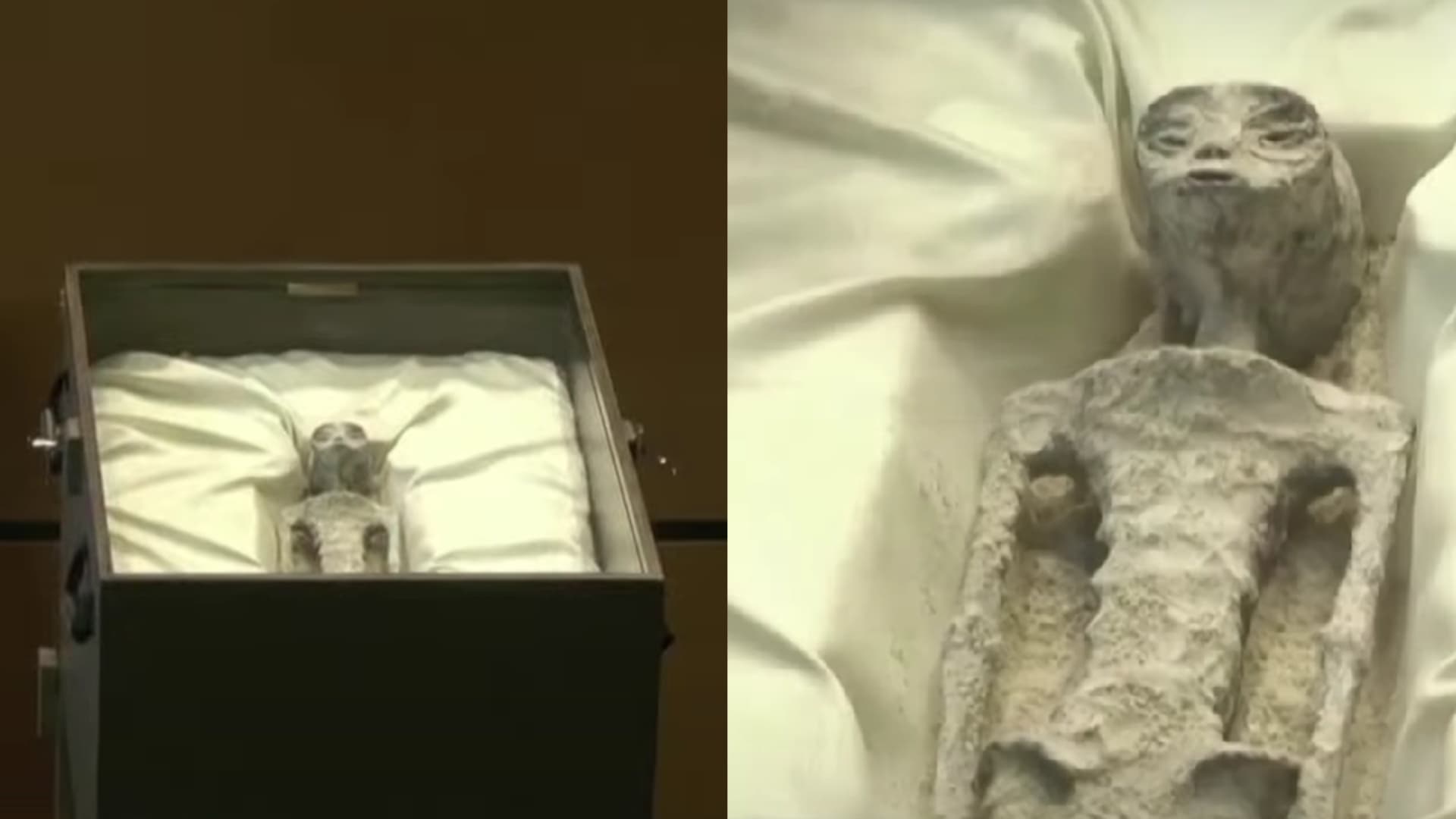 V mexickom kongrese ukázali podivné bytosti, tvrdia, že to nie sú ľudia