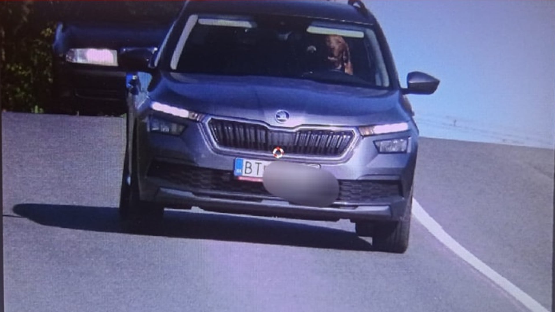 šofer, pes, auto, polícia