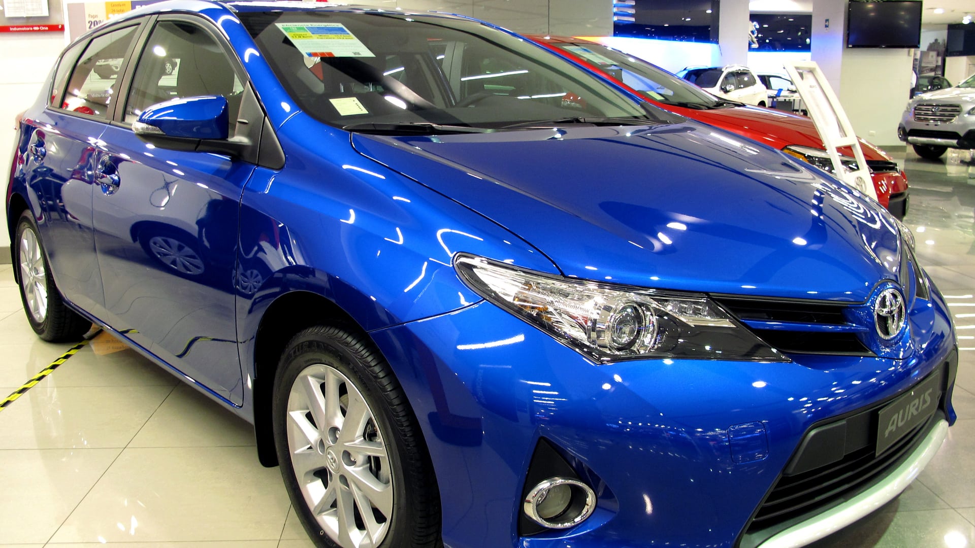 auris