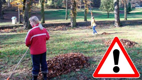 Na snímke sú osoby, ktoré hrabú suché lístie