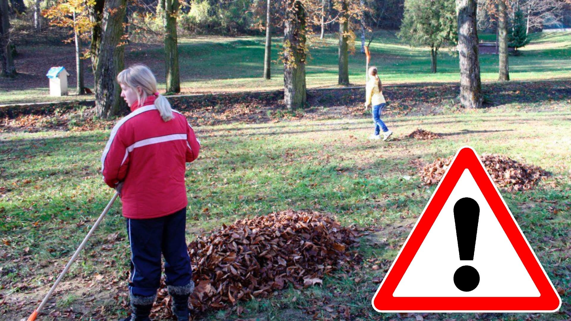Na snímke sú osoby, ktoré hrabú suché lístie