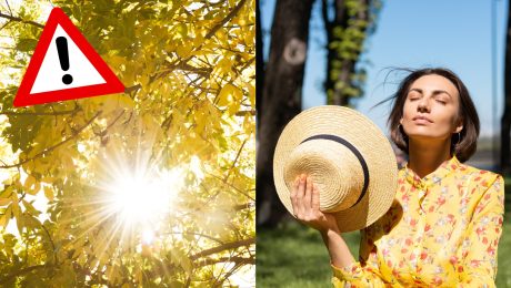 Slnko svieti cez stromy a žena drží klobúk.