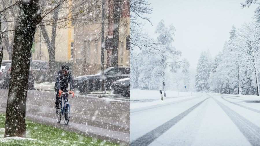 Muž v snehu na bicykli a zasnežený les.