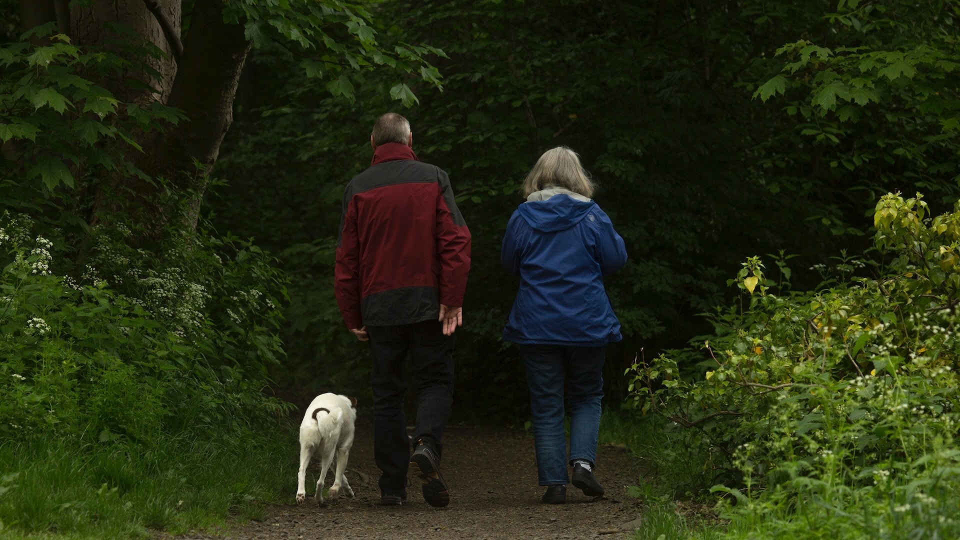 Seniori na prechádzke so psom v lese