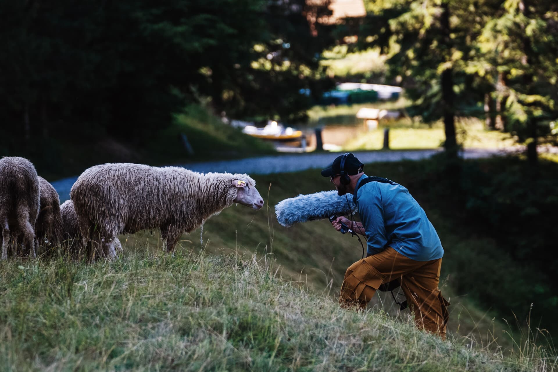 DSC03779_copy_7769acd4-1920×1282