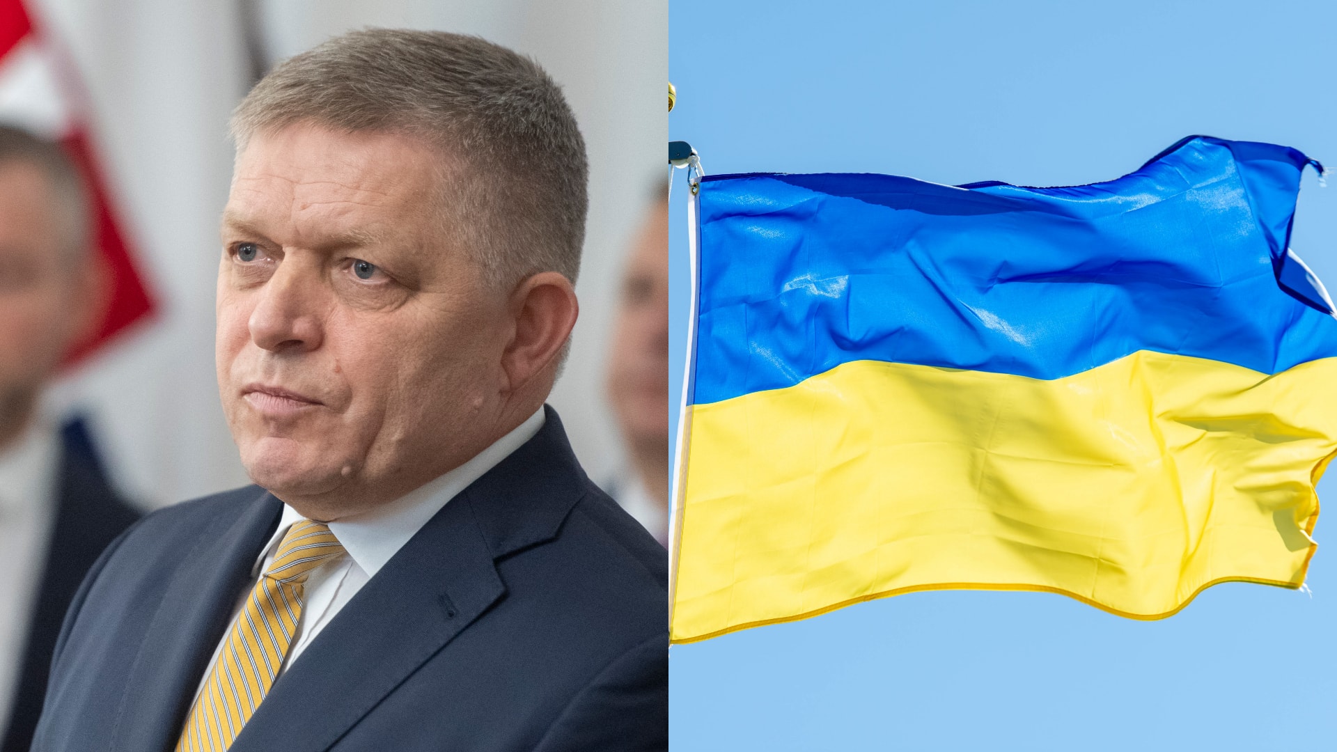 ukrajinská poslankyňa o slovensku