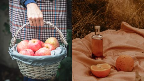 Ovocný cukor, fruktóza, ovocie a sirupy, sladidlá