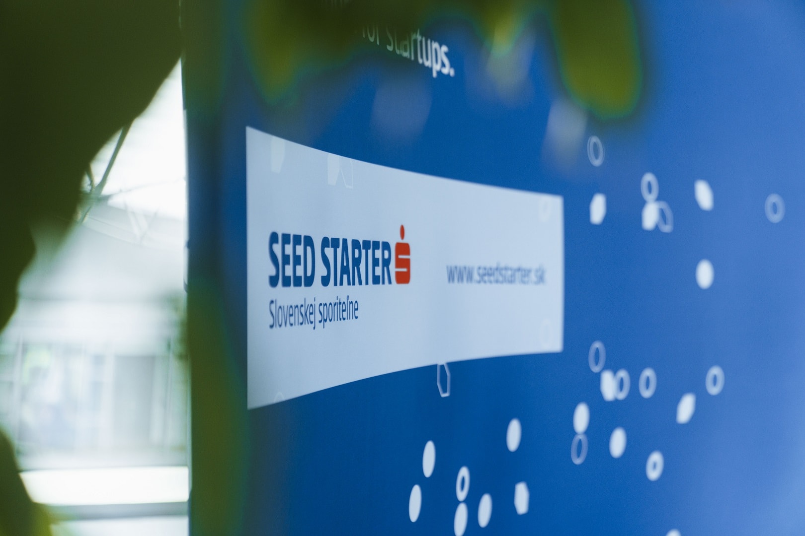 seedstarter