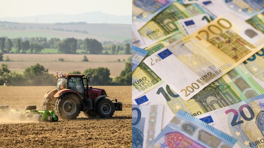 poľnohospodárstvo pole slovensko peniaze euro