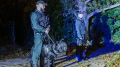 polícia migrácia akcia hranice