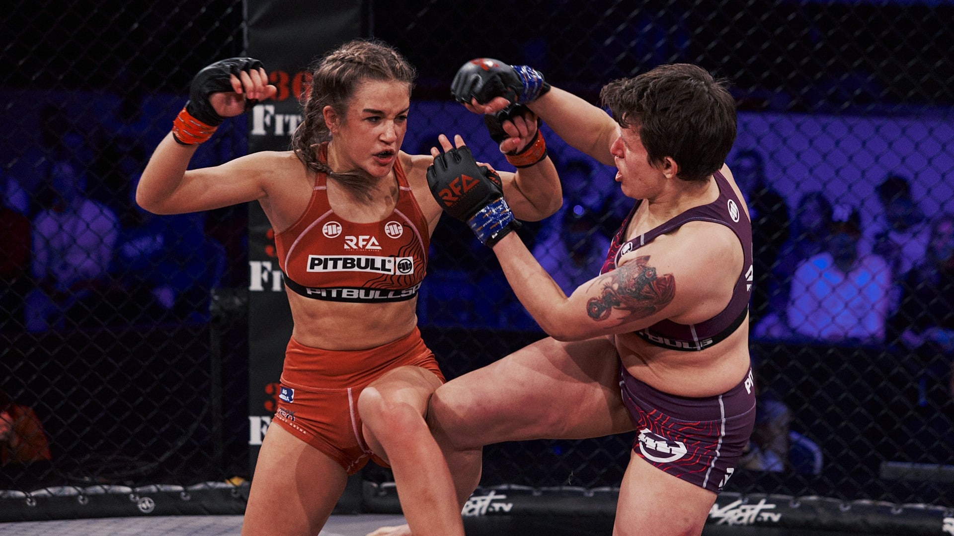 Untitled design – 2023-10-25T170049.673