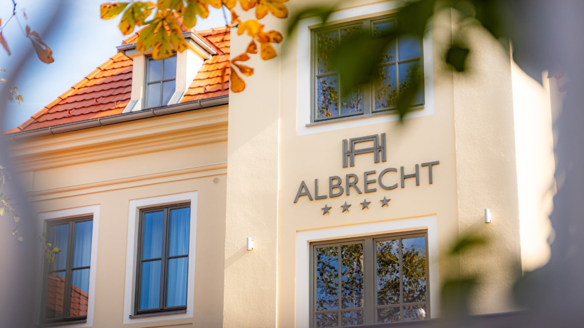 Untitled design – 2023-10-31T121408.754