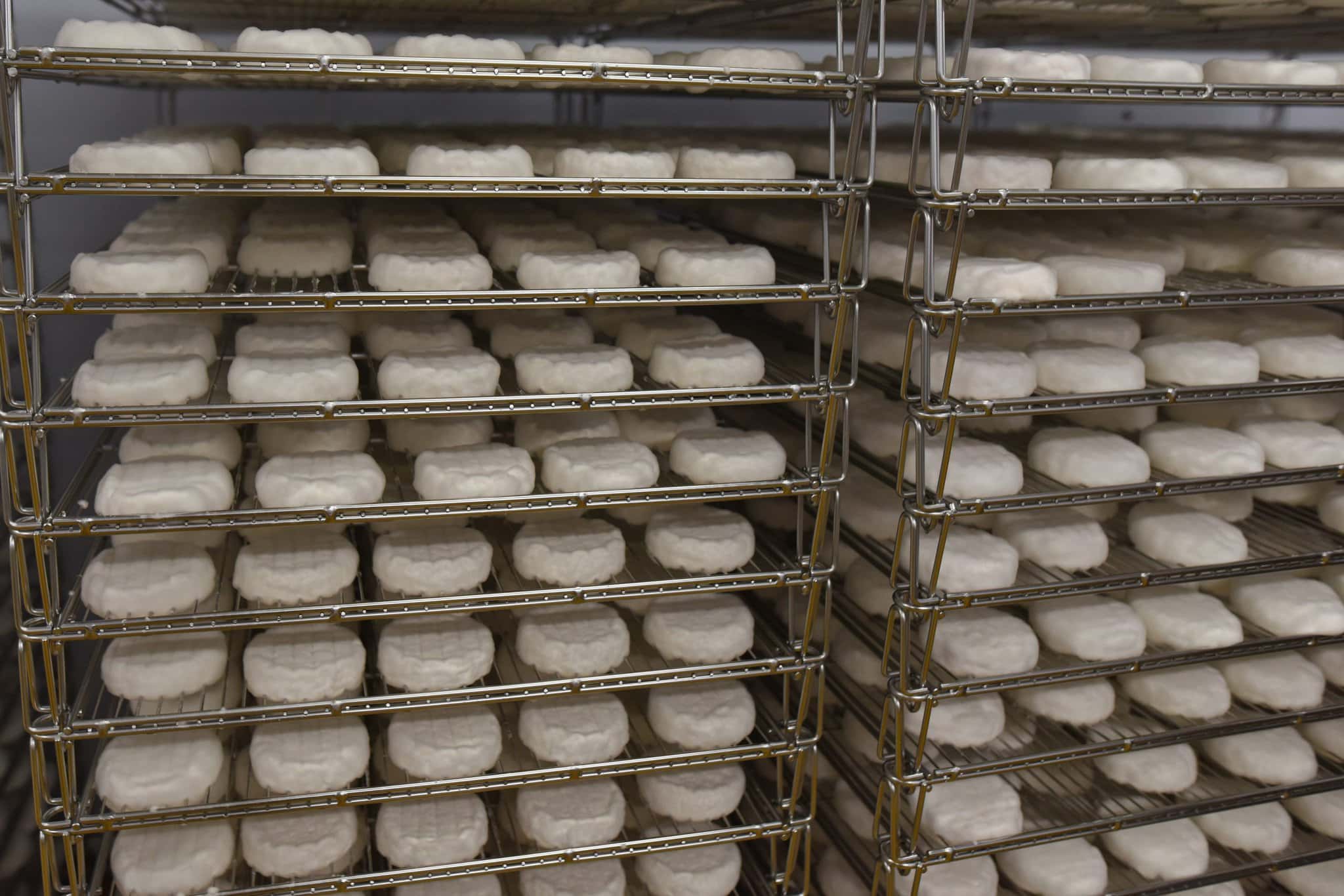 12042018_Syraren_Senica_7514761