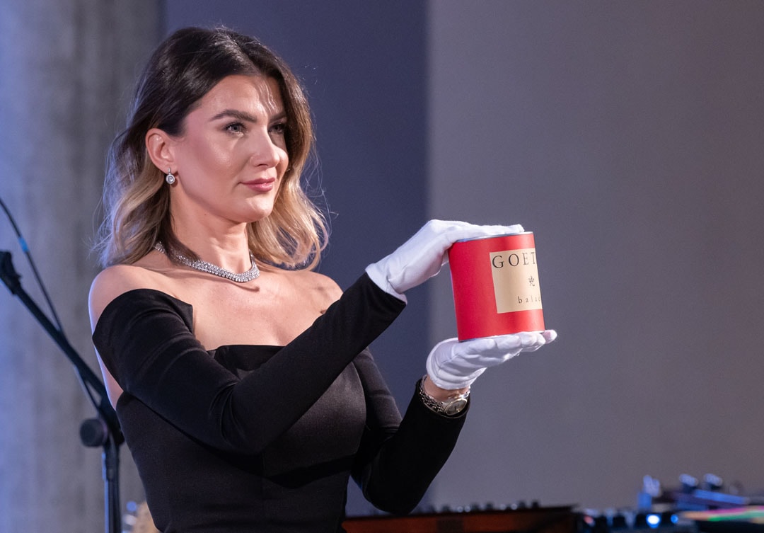 Dielo Goethe od autora Romana Ondaka, ktoré sa vydražilo za 8.000 eur