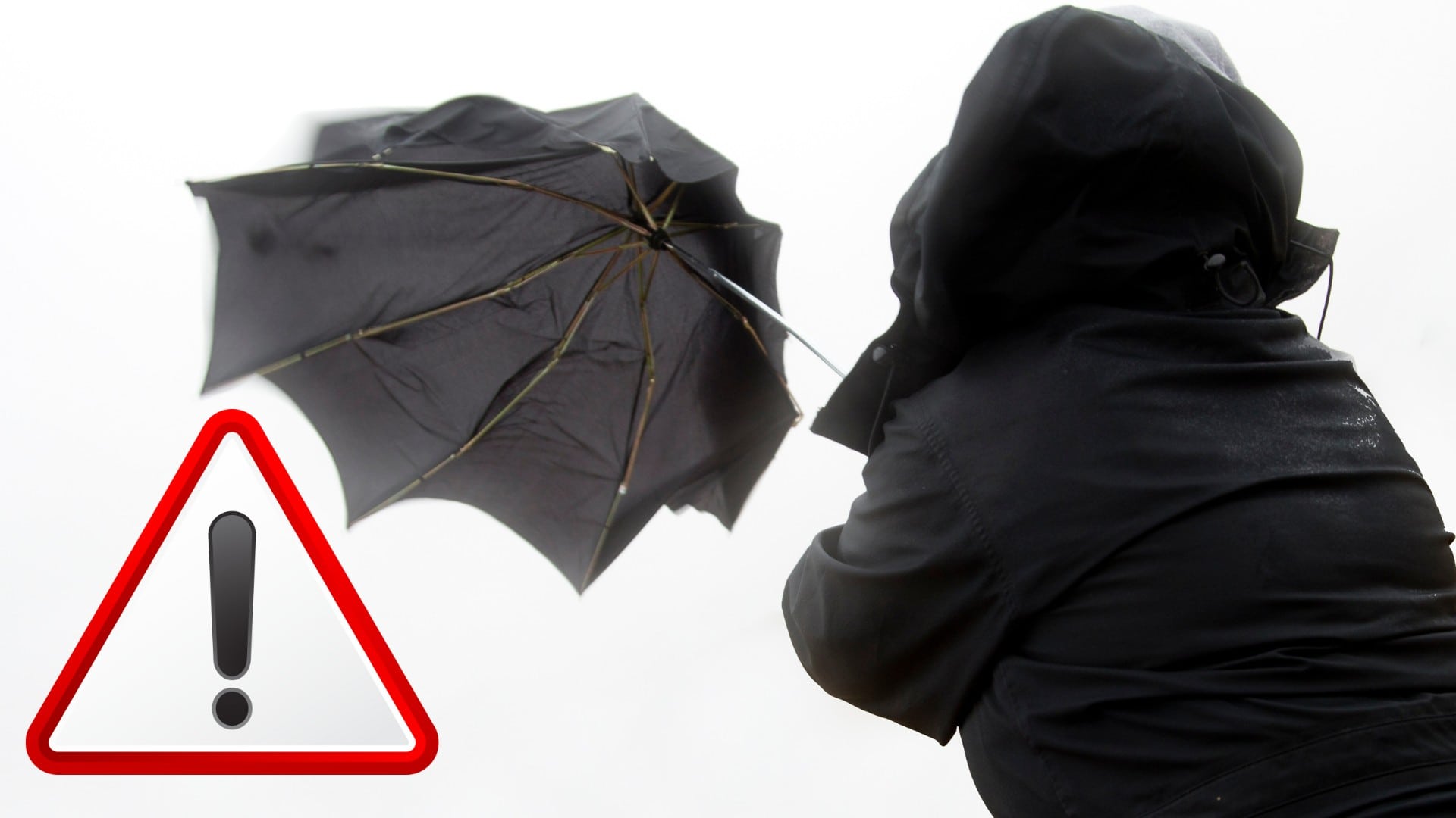 Dizajn bez názvu (5)