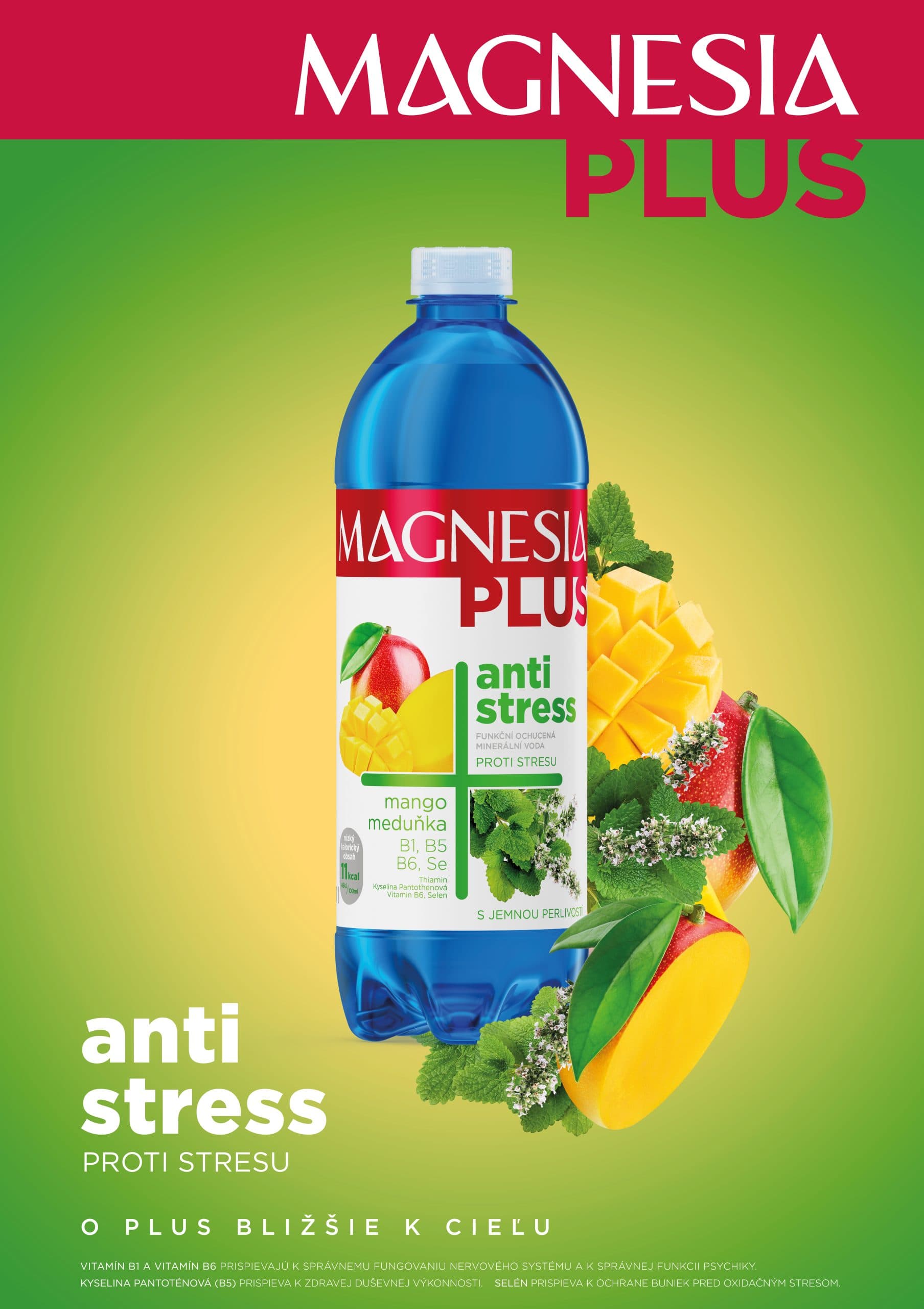 Magnesia PLUS ANITESTRES