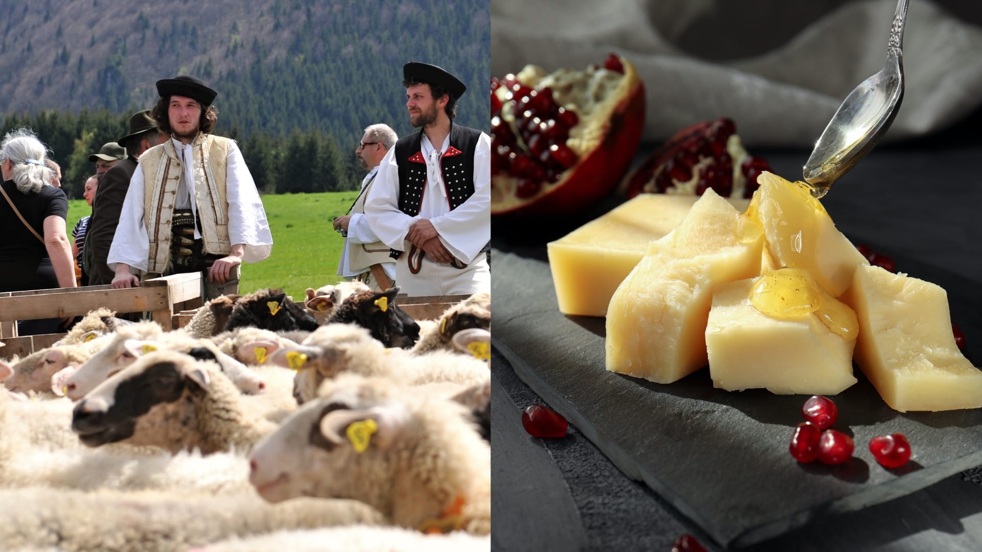 Na snímke sú bačovia a syr.