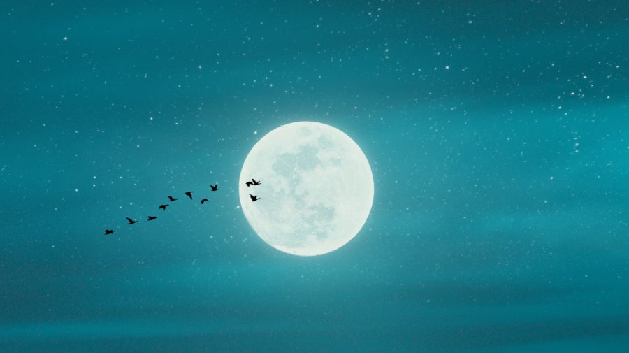 mesiac, obloha