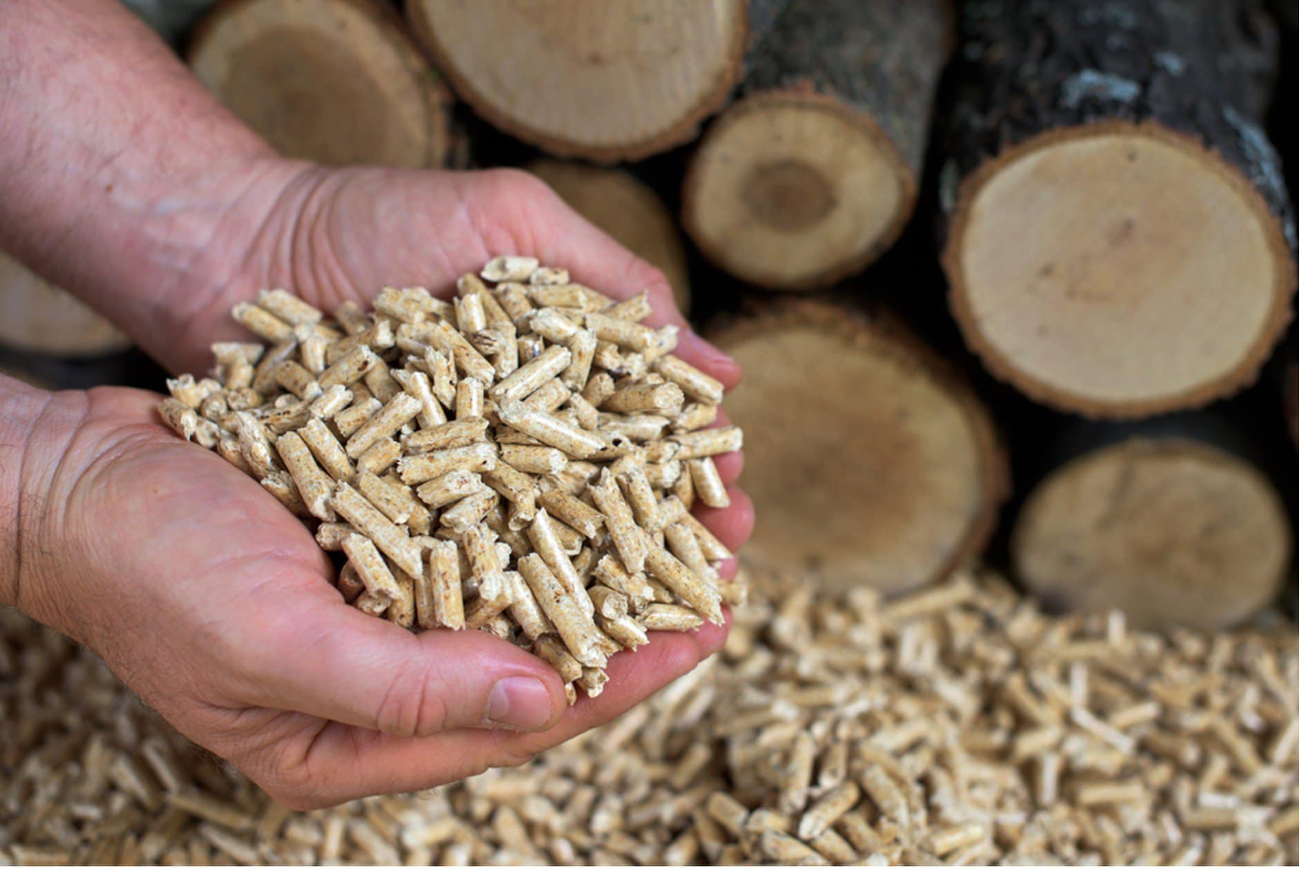 Startitup.sk_Obrázek2