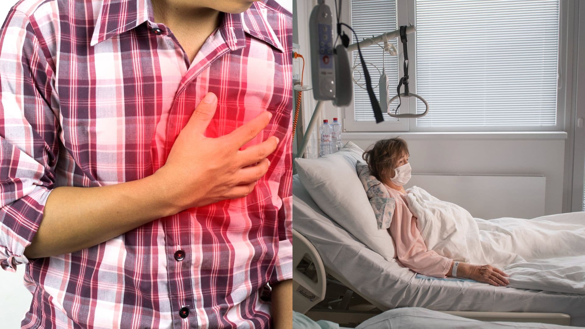 kardiovaskulárna sústava