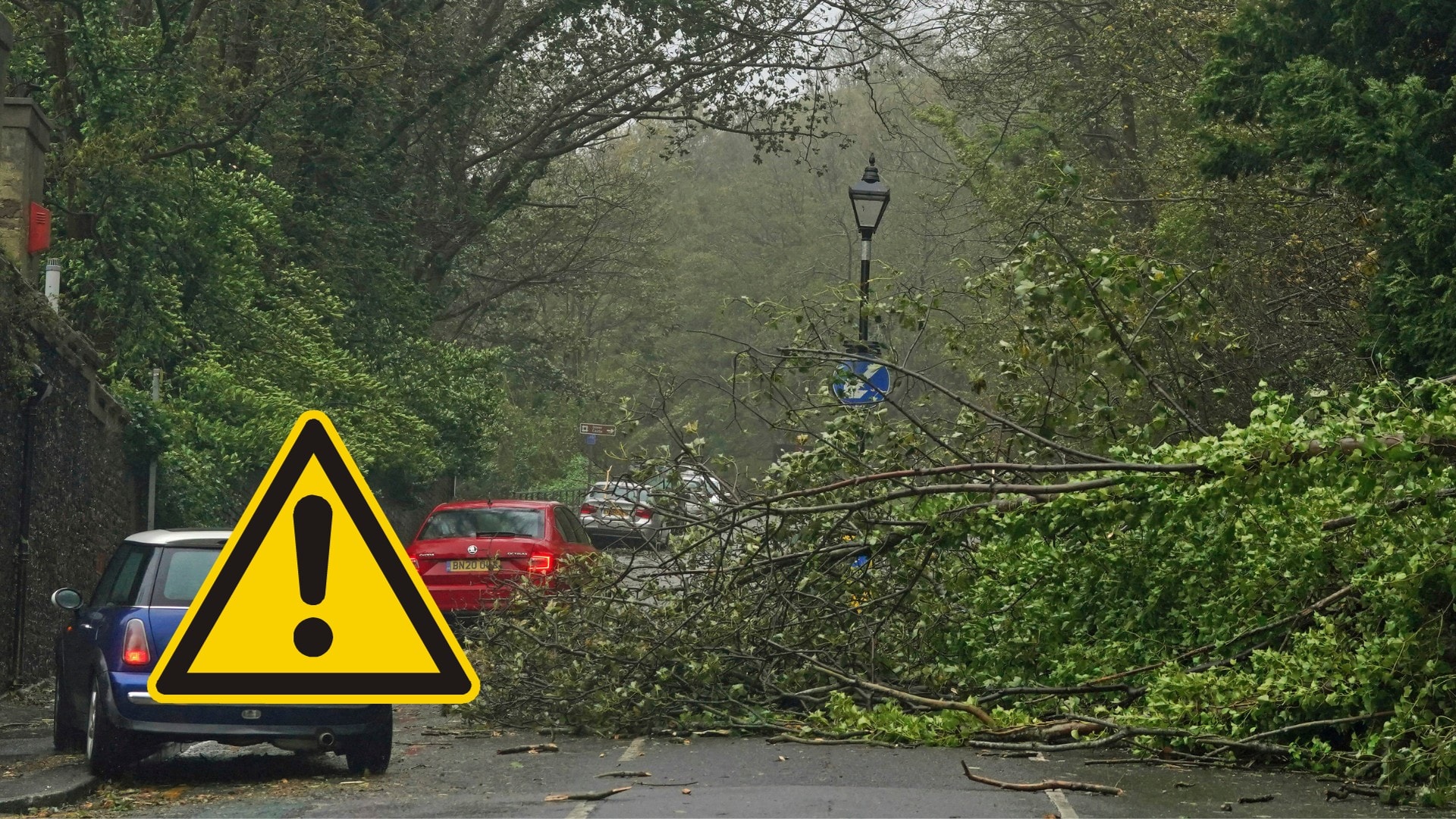 padnutý strom na ceste z dôvodu orkánu ciarán