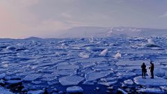 ľadovec antarktída topenie globálne otepľovanie ľad sneh