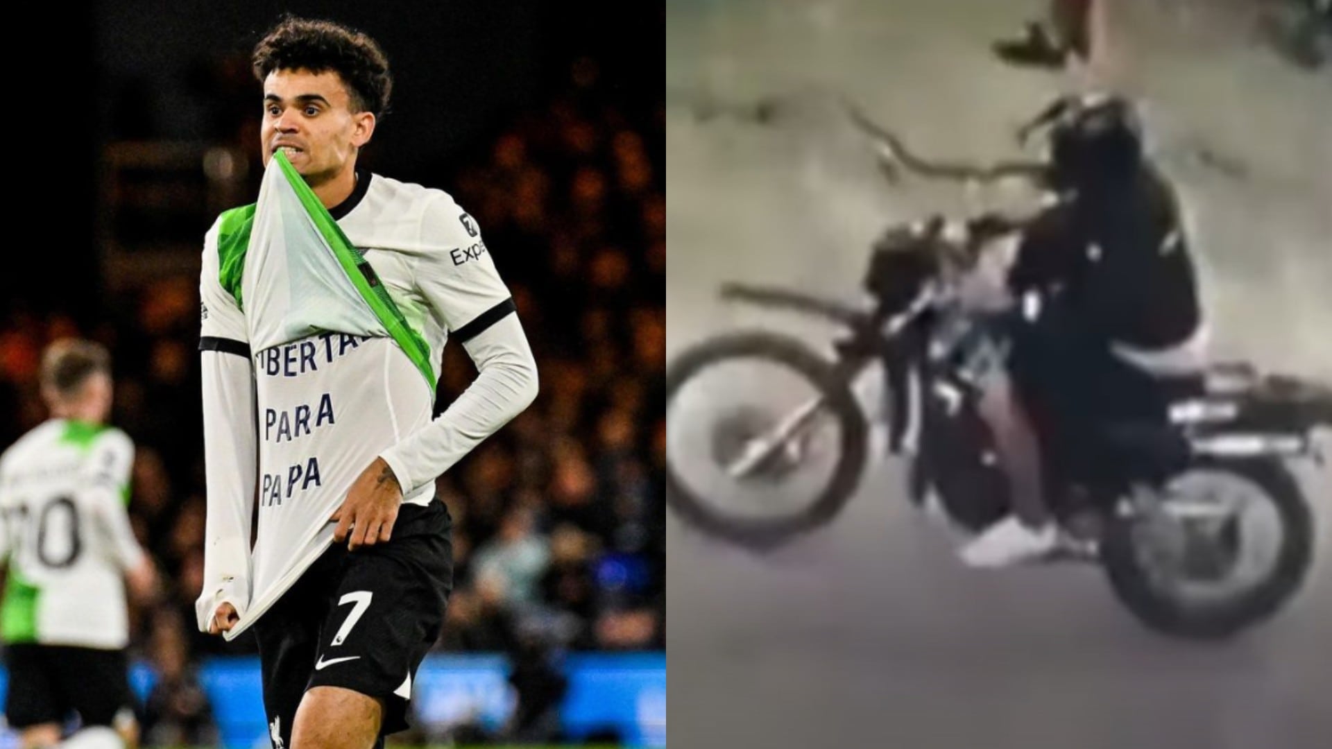 Untitled design (31)