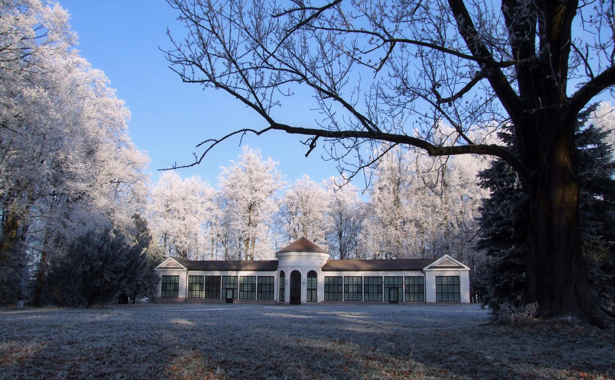 129265897_10158186212013655_674308309042045850_n