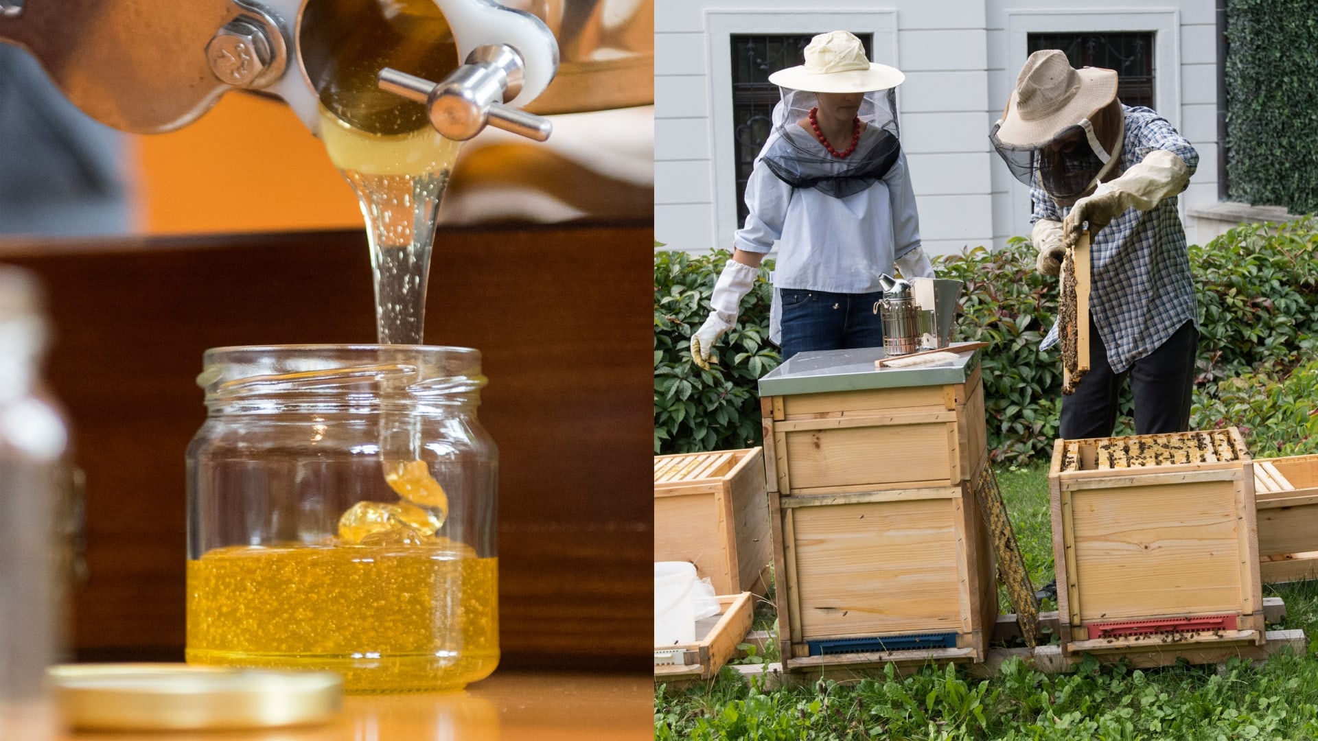 ako vybrať med vianoce