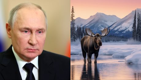 Američania sú oslabení,