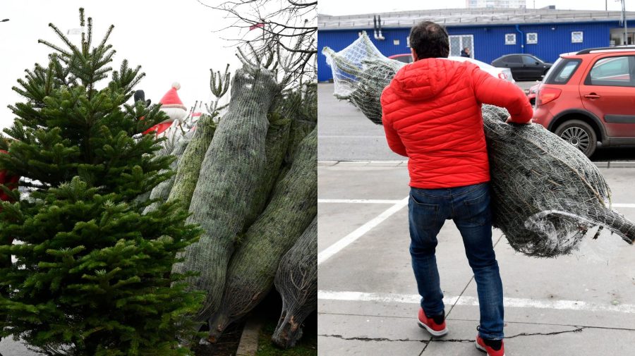 Vianočné stromčeky a muž nesie v rukách zviazaný vianočný stromček.