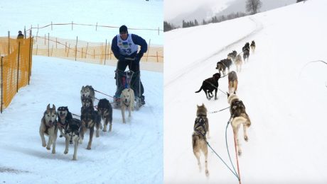 Maroš Litvaj a jeho víťazné psy