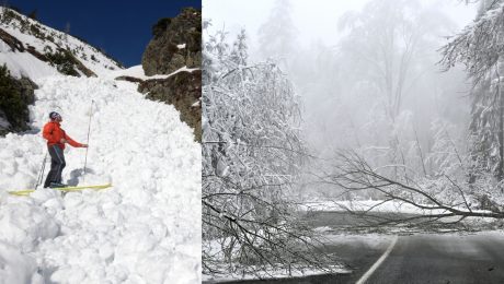 Lavína a snehová kalamita