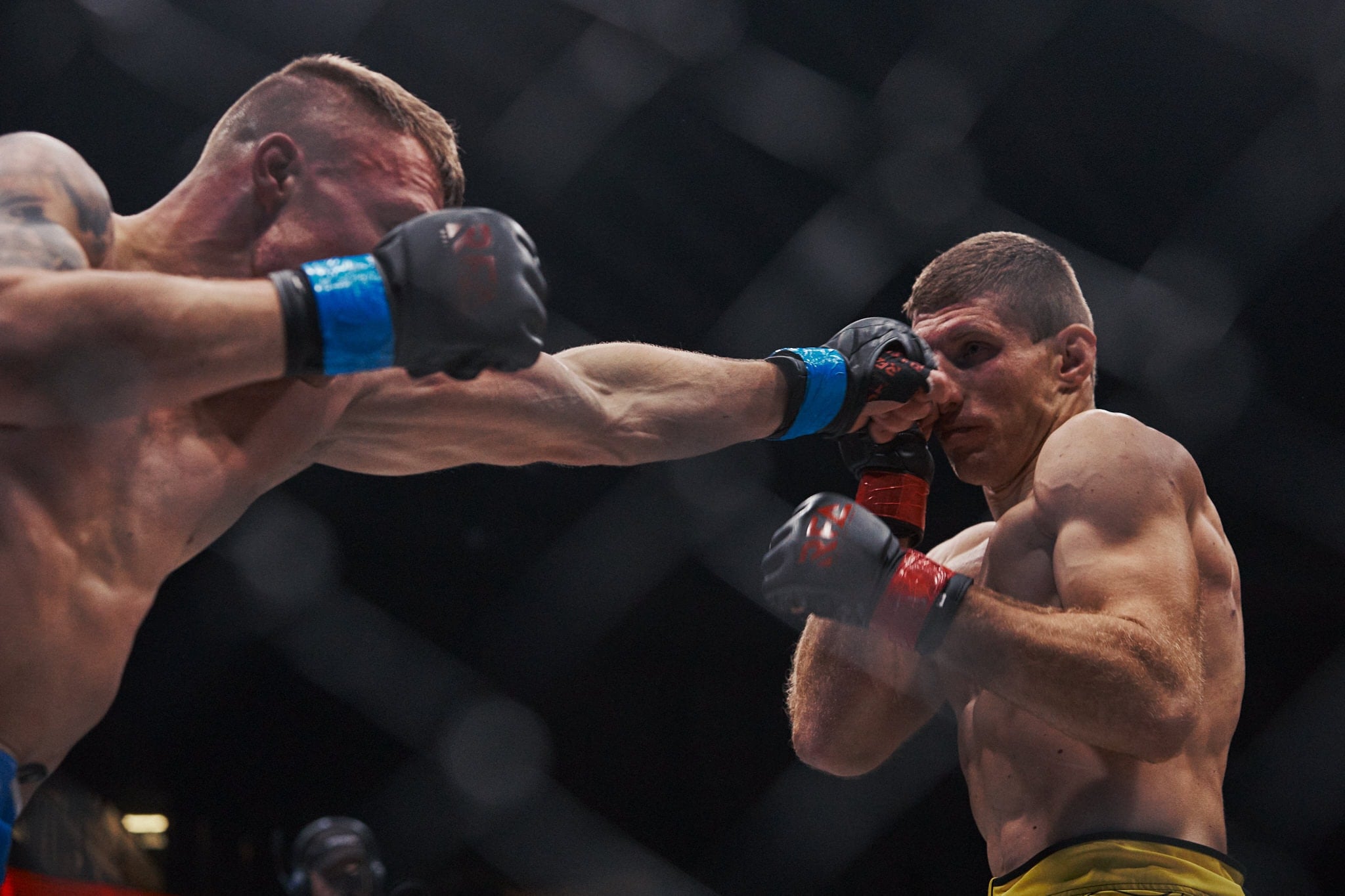 shot_by_ZETAK_0190_ET_9519-23-12-02