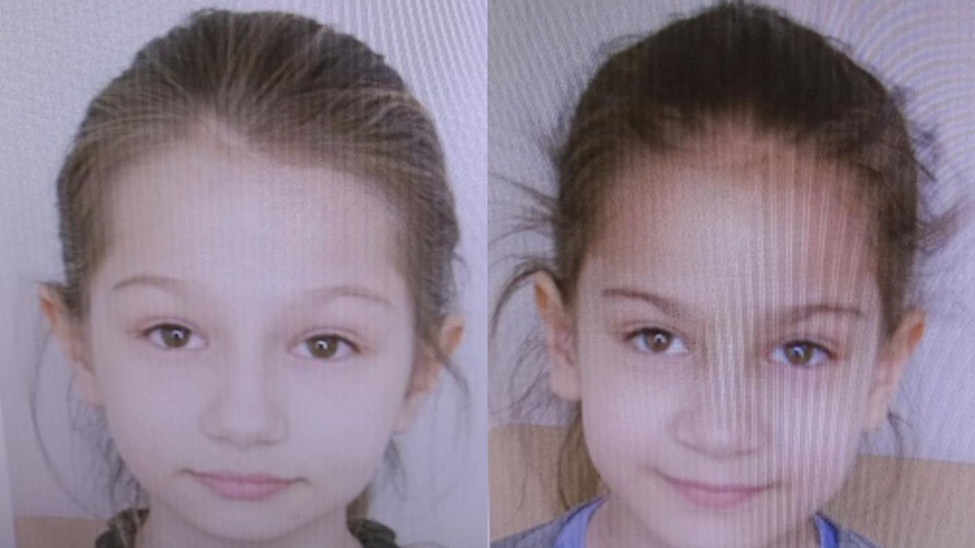 eva kalashian rimma kalashian