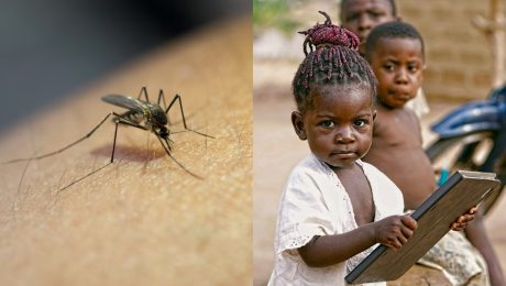 v kamerune začali očkovať proti malárii