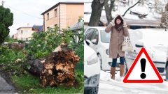 Na snímke je zlomený strom a zasnežená Bratislava