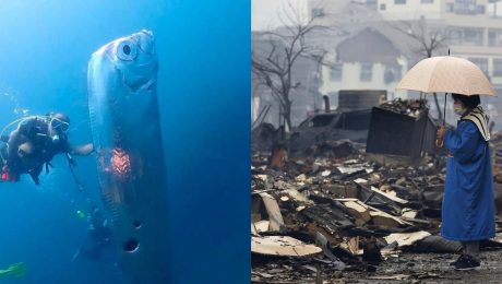 Ázijská ryba z miestnych legiend a mesto Wajima po zemetrasení