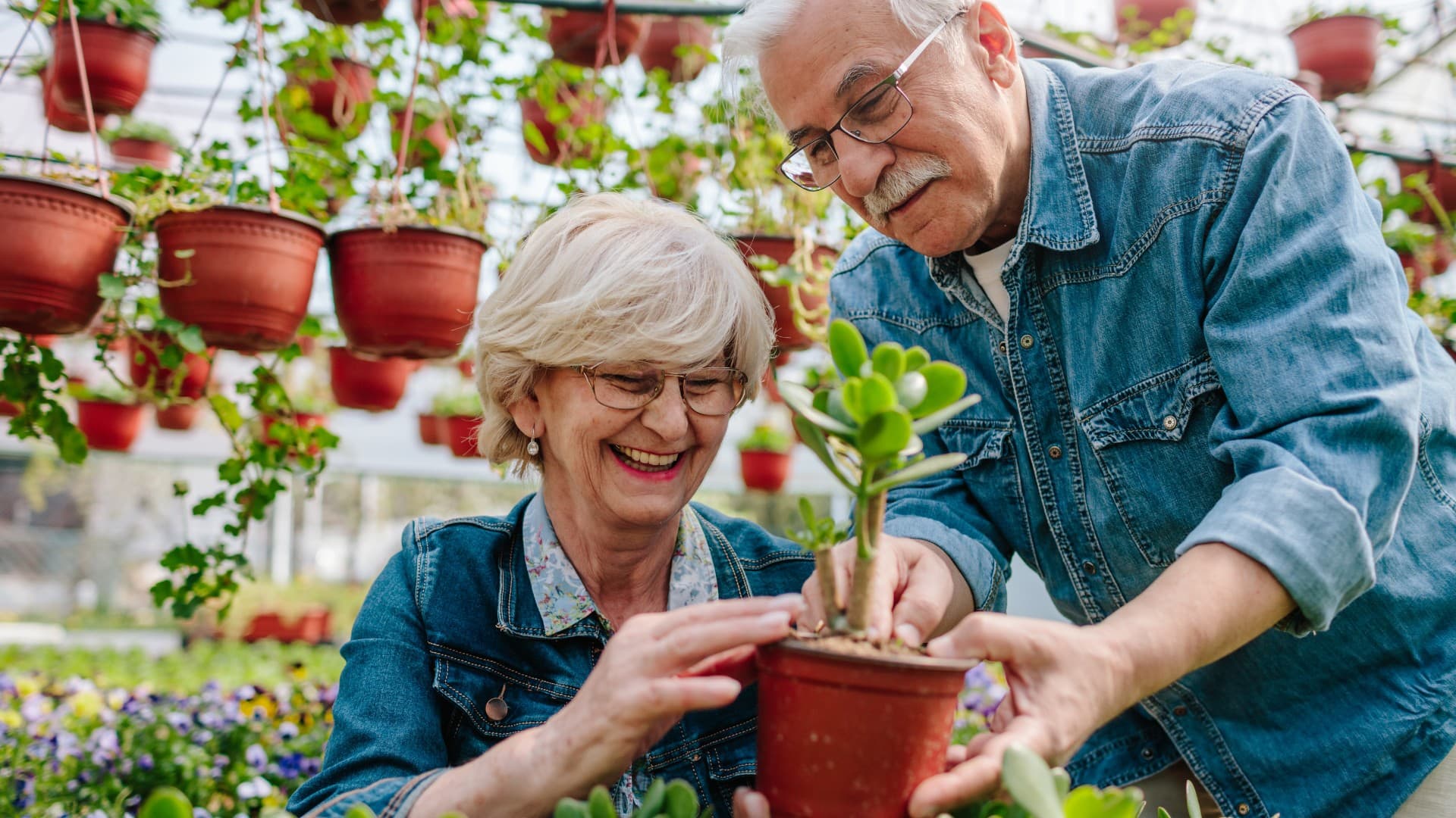 Na snímke dôchodcovia presádzajú kvet