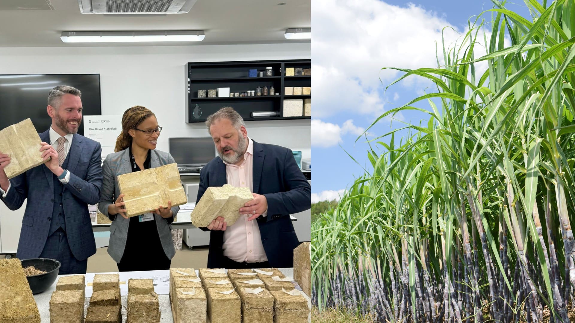 Na snímke je ukážka tehly z cukru